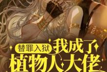 替罪入狱，我成了植物人大佬的豪门妻小说完结版章节免费阅读-读书翁