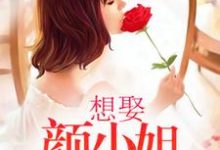 求推荐可以免费阅读想娶颜小姐为妻小说的网站-读书翁