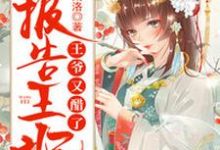 完结版《报告王妃,王爷又醋了》章节阅读-读书翁