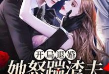 开局退婚,她怒踹渣夫搞事业小说完结了吗?在哪里可以免费读到?-读书翁