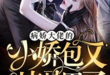 病娇大佬的小娇包又掉马甲了纪凌宸冷晔冷烨海城，病娇大佬的小娇包又掉马甲了最新章节-读书翁