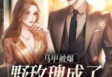 马甲被爆,野玫瑰成了大佬掌中娇小说全文阅读需要付费吗?寻找免费资源-读书翁