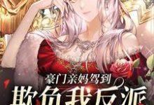 小说《豪门亲妈驾到,欺负我反派儿子没门》在线章节阅读-读书翁