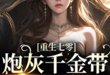 免费阅读苏安陆振廷为主角的小说,重生七零:炮灰千金带空间下乡了在线看-读书翁