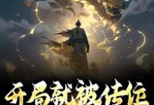 开局就被传位,成为万古一帝小说的所有章节都能在哪里免费读到?-读书翁