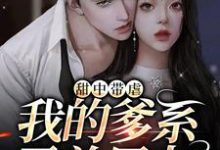 甜中带虐:我的爹系霸总男友小说的无弹窗阅读体验,寻找免费阅读网站-读书翁