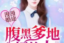 小说《漫漫婚途：腹黑爹地很给力》在线章节阅读-读书翁