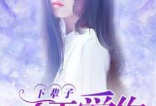 下辈子，不再爱你！苏音萧逸小说免费阅读-读书翁