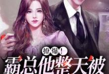 求推荐可以免费阅读撩爆!霸总他整天被秘书玩失控小说的网站-读书翁