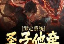 秦渊的故事在哪本书里？免费阅读绑定系统：圣子他牵着女主走-读书翁