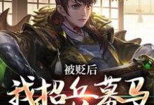 完结版《被贬后,我招兵募马八十万》免费阅读-读书翁