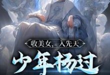 收美女,入先天,少年杨过以武立国小说,收美女,入先天,少年杨过以武立国杨过郭芙、程英-读书翁