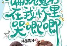 穿书,偏执魔君在我怀里哭唧唧小说的无弹窗阅读体验,寻找免费阅读网站-读书翁