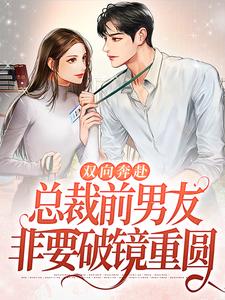 慕苏辰顾念北的故事在哪本书里？免费阅读双向奔赴：总裁前男友非要破镜重圆