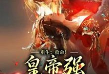 沈知闲墨城景小说在哪里可以看-读书翁