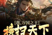 已完结小说《我,万国之王,横扫天下诸国》在线章节阅读-读书翁