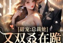 简薇霍北凛的小说在哪里看?免费在线阅读甜宠:总裁他又双叒在跪搓衣板了-读书翁