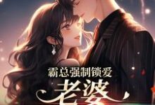 霸总强制锁爱:老婆,连生三胎嘛小说全文哪里可以免费看?-读书翁