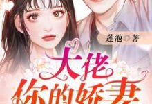 梁湾陆北琛裴悯梁柔小说在哪里可以看-读书翁