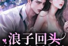 浪子回头:他只钟情她这本小说在哪里可以看?哪里有免费试读章节?-读书翁