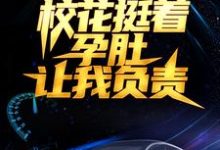 小说《被分手后,校花挺着孕肚让我负责》章节免费阅读-读书翁