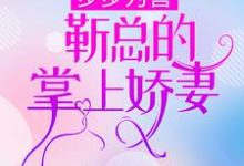 步步为营,靳总的掌上娇妻温禾时靳寒嵊靳承西孟知易小说大结局免费试读-读书翁