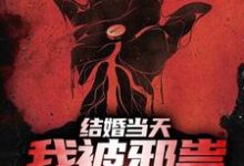 主人公叫赵九庭苏清黎的小说哪里免费看-读书翁