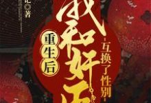 重生后，我和奸臣互换了性别小说，重生后，我和奸臣互换了性别最新章节-读书翁