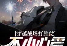 免费在线阅读穿越战场打胜仗,不小心震惊全网了小说的正规网站有哪些?-读书翁