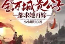 免费看休夫后,全京城贵公子都求她再嫁小说的网站有哪些?-读书翁