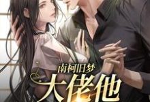 完结版《南柯旧梦:大佬他恋恋不忘》免费阅读-读书翁