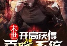 末世：开局获得吞噬系统小说的无弹窗阅读体验，寻找免费阅读网站-读书翁