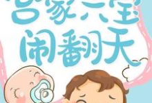 宫家六宝闹翻天免费阅读,宫家六宝闹翻天章节目录-读书翁