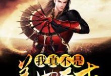 我真不是盖世奇才小说,我真不是盖世奇才青云容景-读书翁