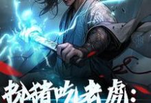 幽月柳子鸢朝华是哪本书的主角?寻找扮猪吃老虎:神女她超强免费阅读-读书翁