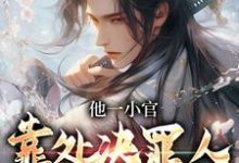 他一小官，靠处决罪人无限变强最新章节，他一小官，靠处决罪人无限变强免费阅读-读书翁