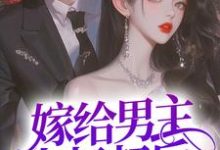 裴宴洲金多多是哪本书的主角？嫁给男主小叔叔后，躺赢了免费读-读书翁