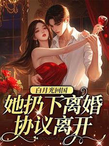 白月光回国，她扔下离婚协议离开小说，白月光回国，她扔下离婚协议离开章节在线阅读