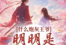 什么炮灰王爷,明明是移动金库小说有没有完结版在线?-读书翁