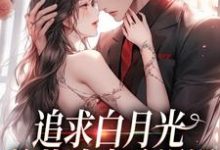 男女主人公姜苒傅司寒小说追求白月光,总裁追妻路漫漫章节免费阅读-读书翁