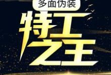 小说《多面伪装:特工之王》章节免费阅读-读书翁