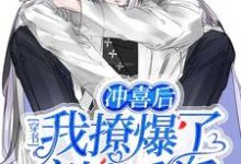 穿书:冲喜后我撩爆了病娇反派小说无弹窗阅读的网站推荐-读书翁