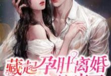 男女主人公夏小冉盛骞野小说藏起孕肚离婚，总裁他失控疯了章节免费阅读-读书翁