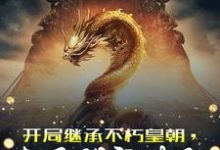 开局继承不朽皇朝，太子别突破了叶长生小说在线章节免费阅读-读书翁