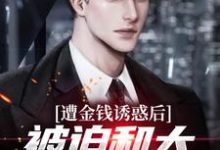 遭金钱诱惑后,被迫和大小姐领本本江玄苏瑾小说在线章节目录阅读最新章节-读书翁