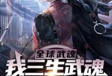 完结版《全球武魂：我三生武魂，震惊世界》章节目录在线阅读-读书翁