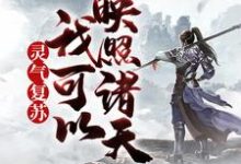 灵气复苏，我可以映照诸天叶枫在线章节免费阅读-读书翁