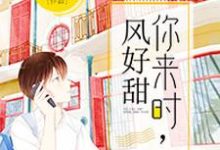 你来时,风好甜小说,你来时,风好甜章节在线阅读-读书翁