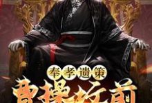 《奉孝遗策：曹操坟前求军师》小说主角刘章刘念祖渊明先生章节章节免费在线阅读-读书翁