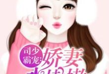 司少霸宠：娇妻水嫩嫩章节免费在线阅读，莫小绾司凌钺完结版-读书翁